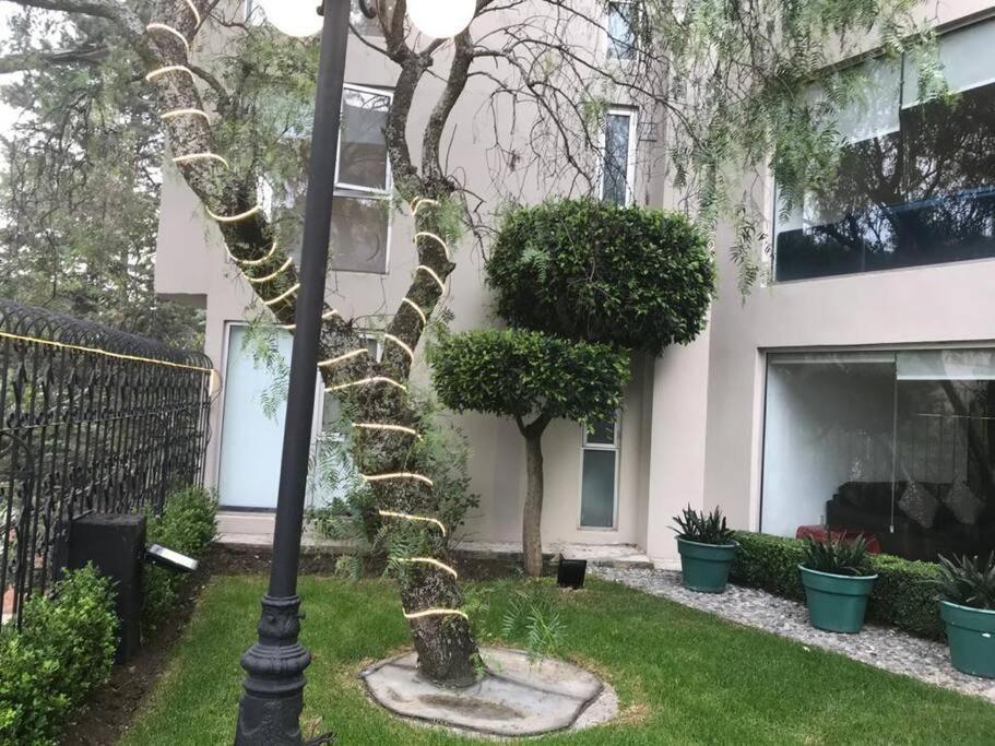 Hermoso Departamento En Bosques De Las Lomas Dos Habitaciones Cidade do México Exterior foto